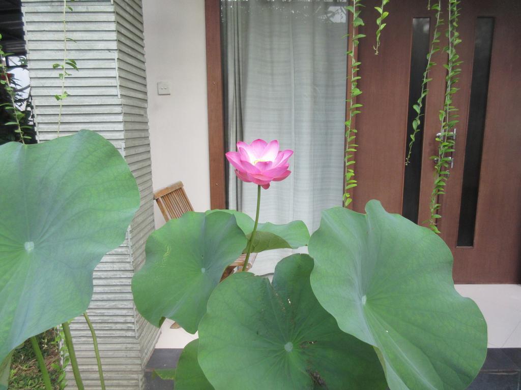 Rika Sanur Homestay Buitenkant foto